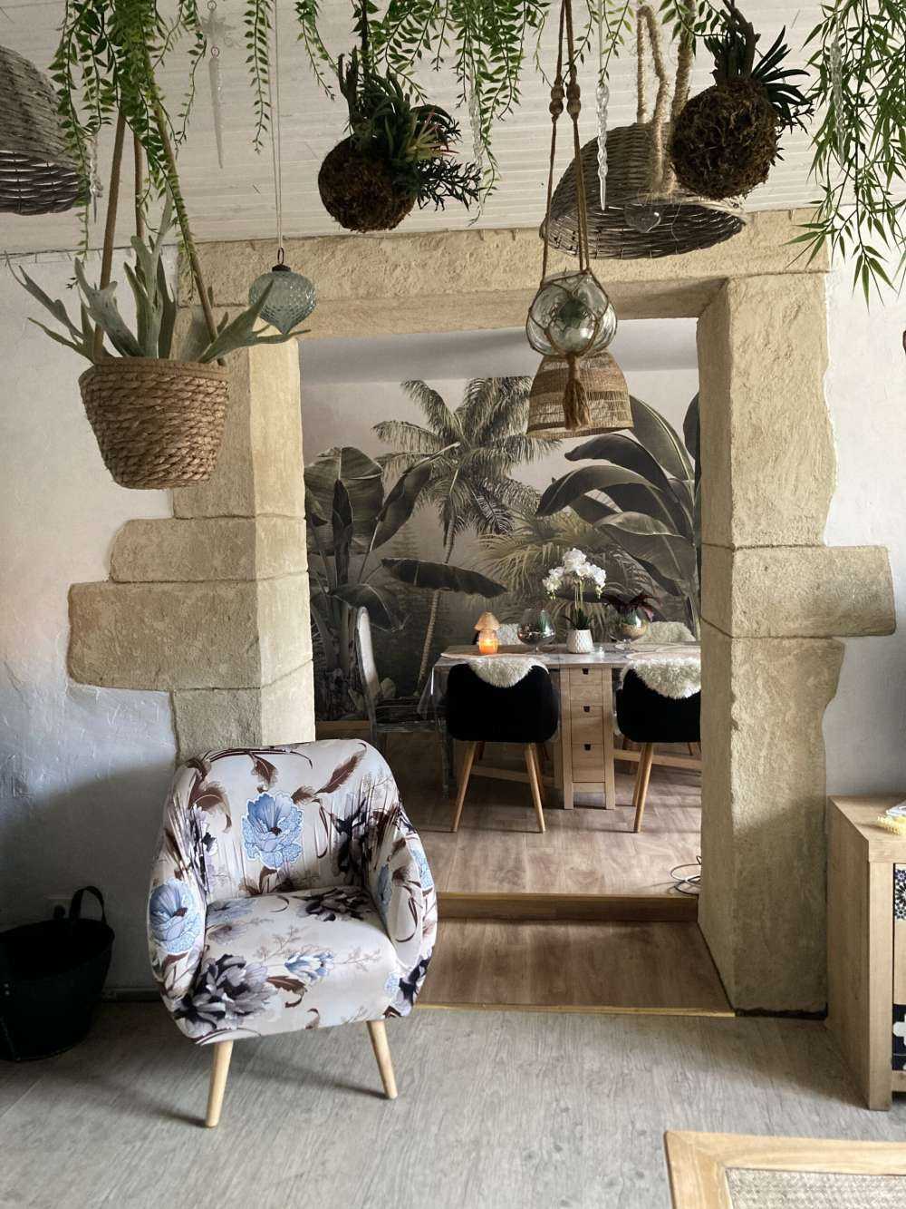 Bosco Tropicale Nebbioso