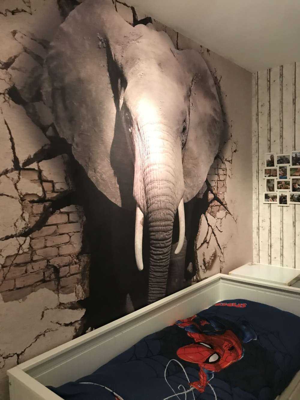 Elefante 3D dal muro