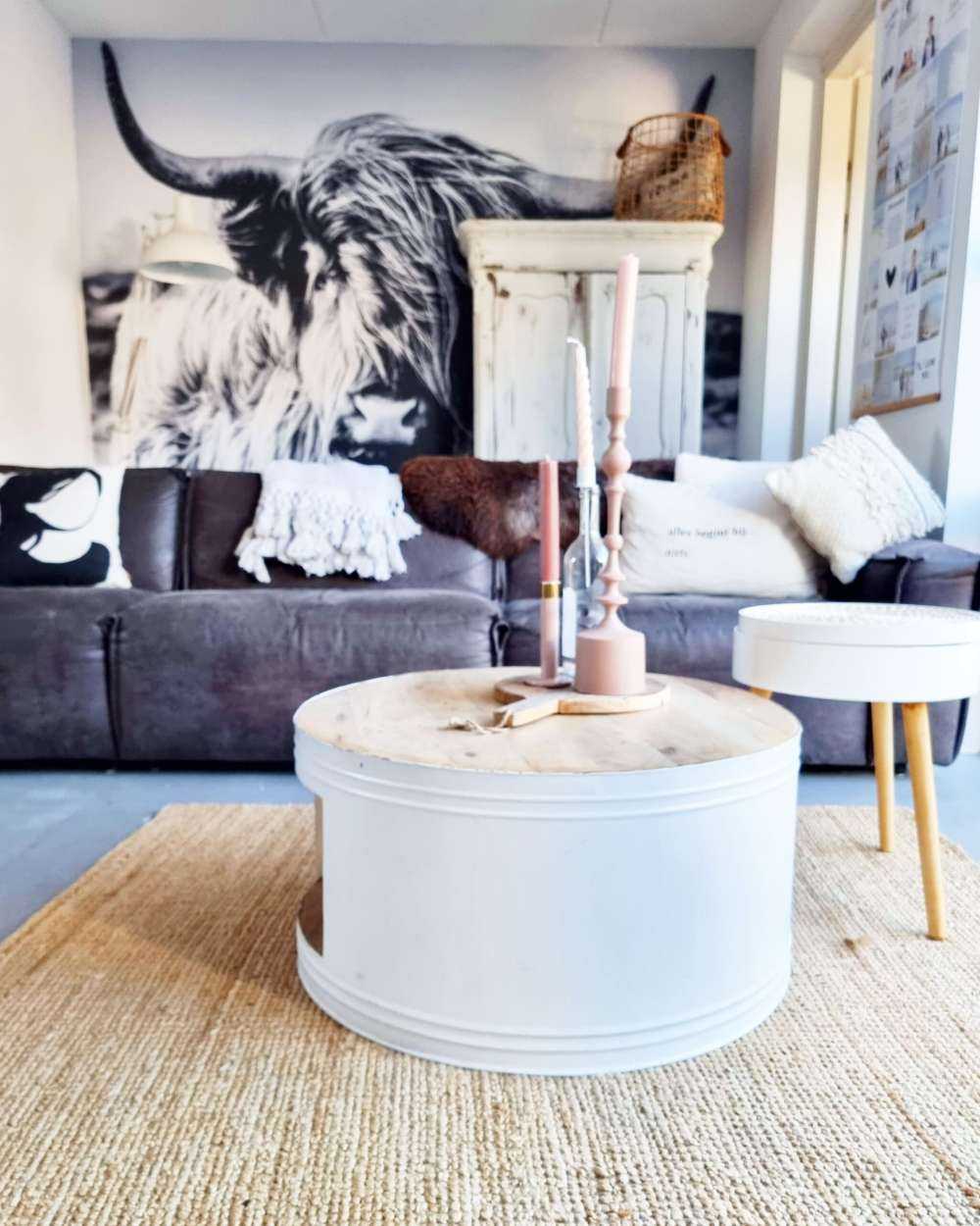 Highlander scozzese in bianco e nero