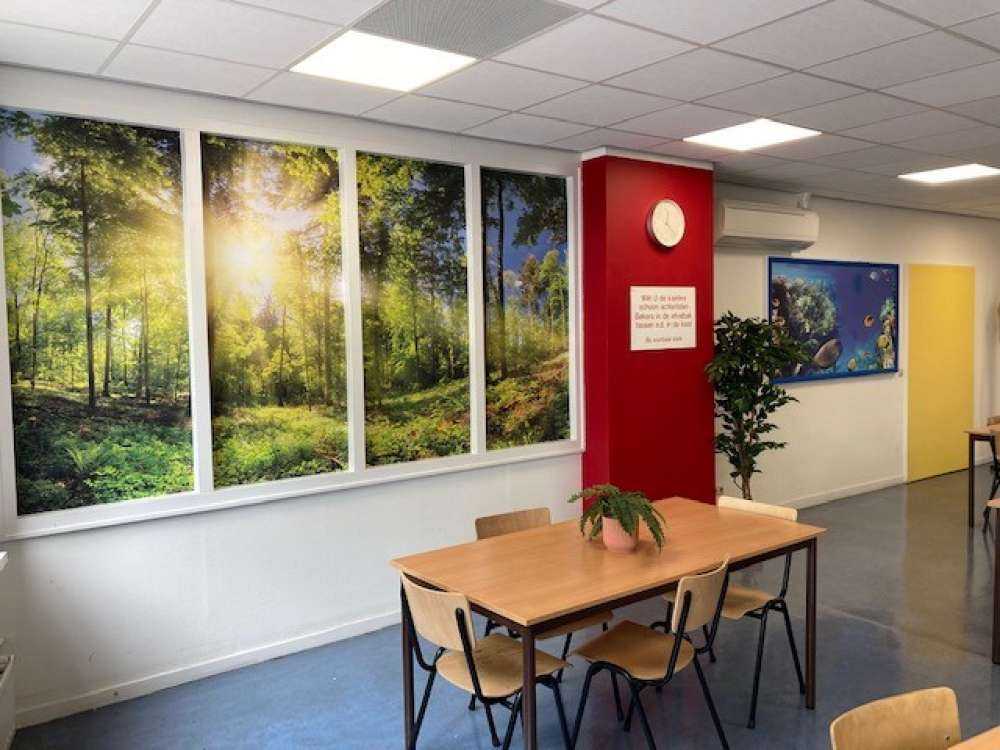 Foresta con raggi di sole