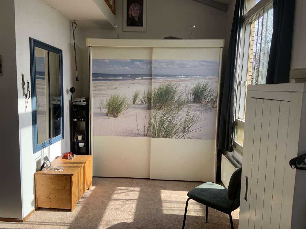 Spiaggia con piante di duna