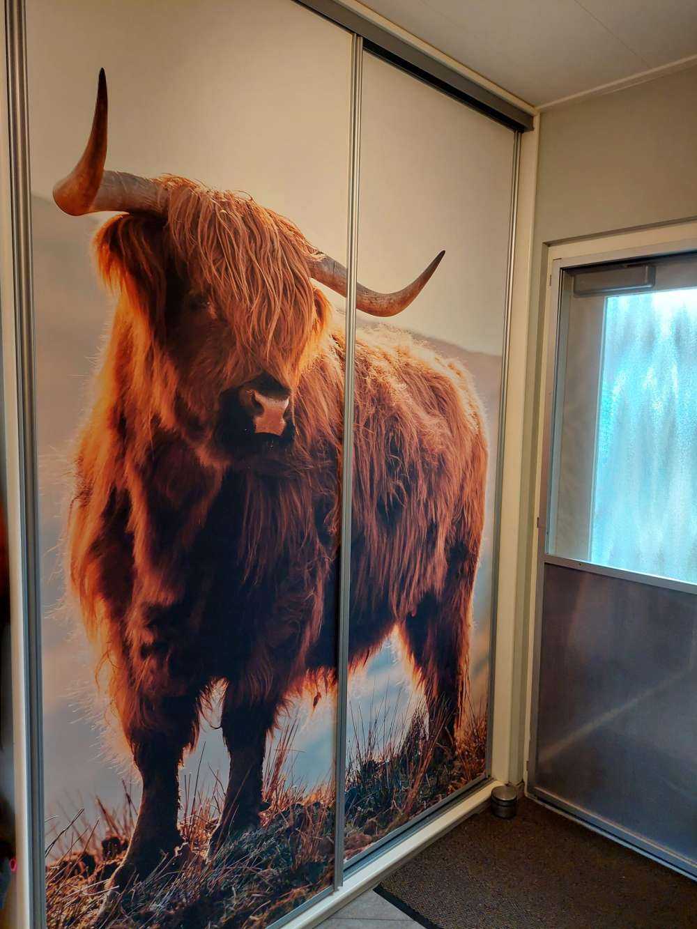 Highlander scozzese su una collina