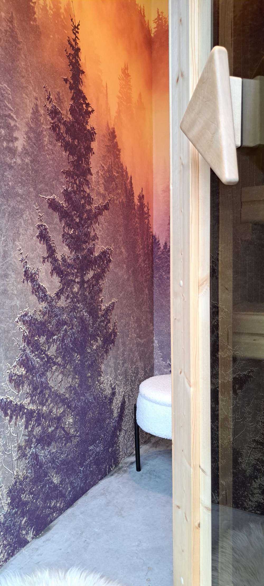 Nebbia nella foresta