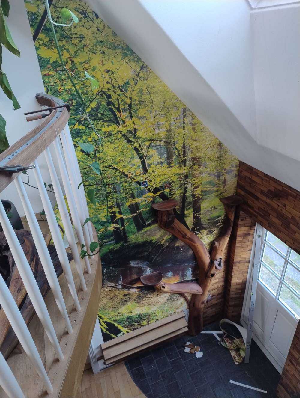 Foresta con un ruscello