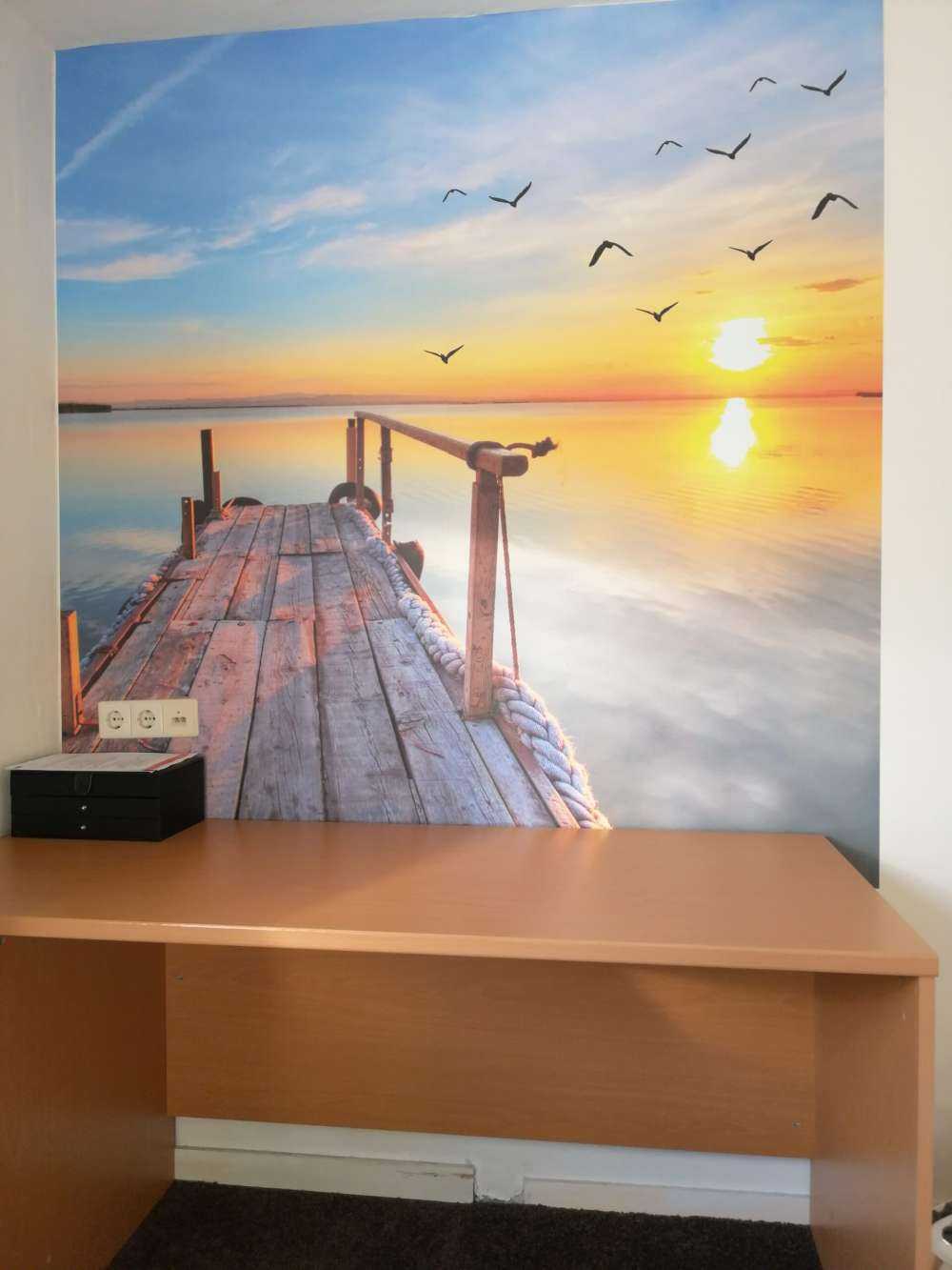 Uccelli sopra il mare