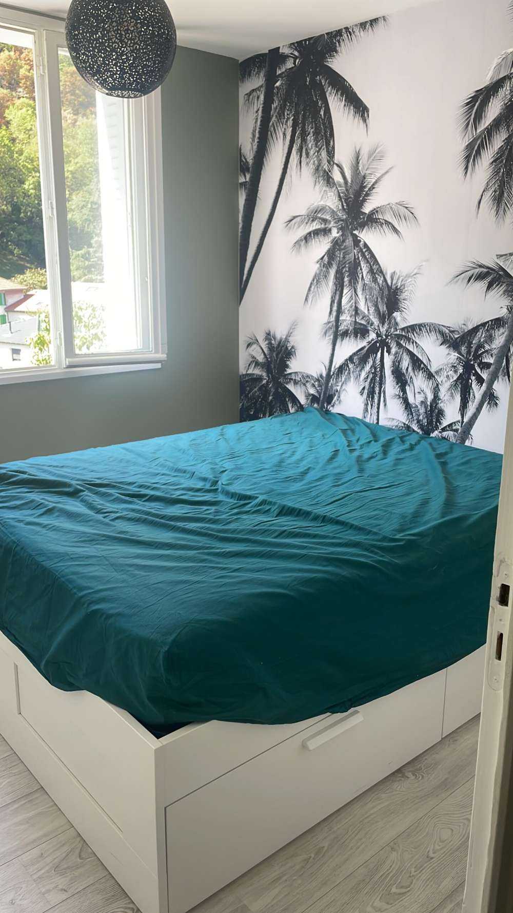 Palme in bianco e nero