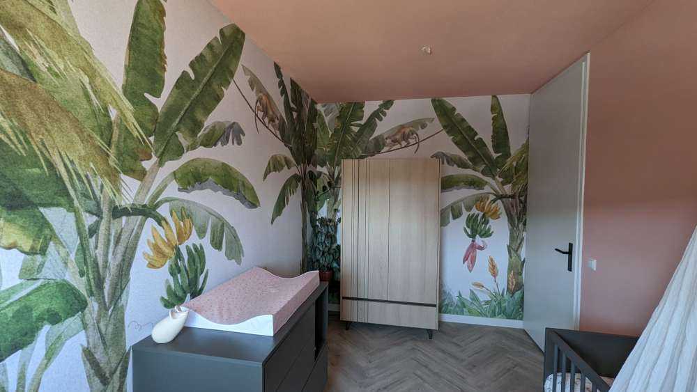 Giungla con animali colorati