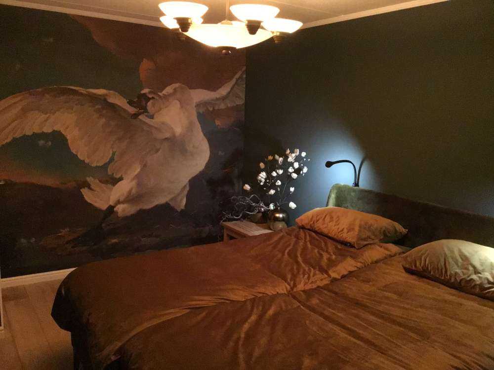 Il cigno in pericolo di estinzione