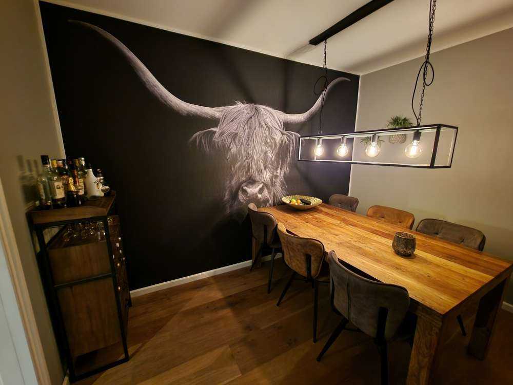 Highlander scozzese in bianco e nero