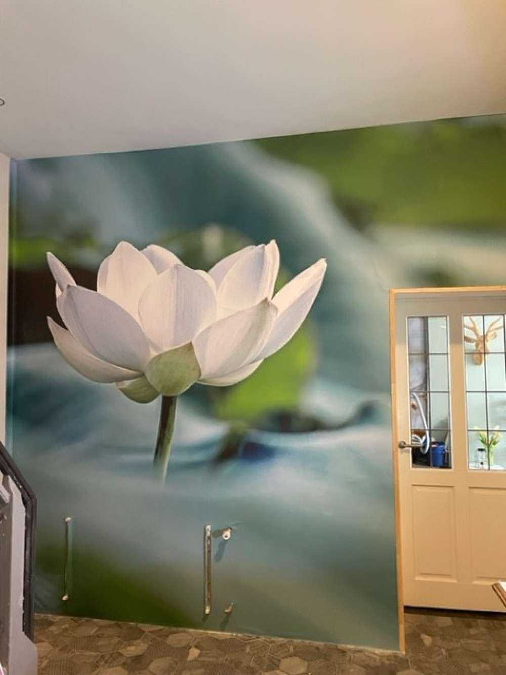 Fiore di loto bianco