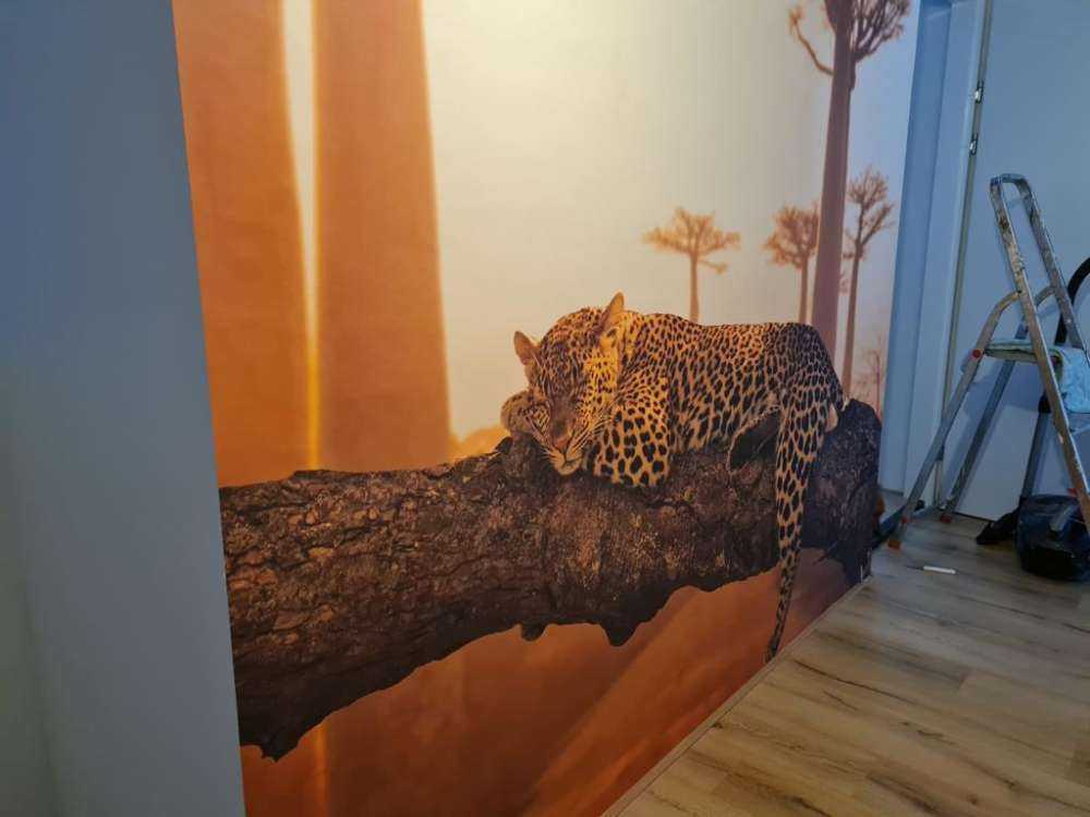 Leopardo addormentato