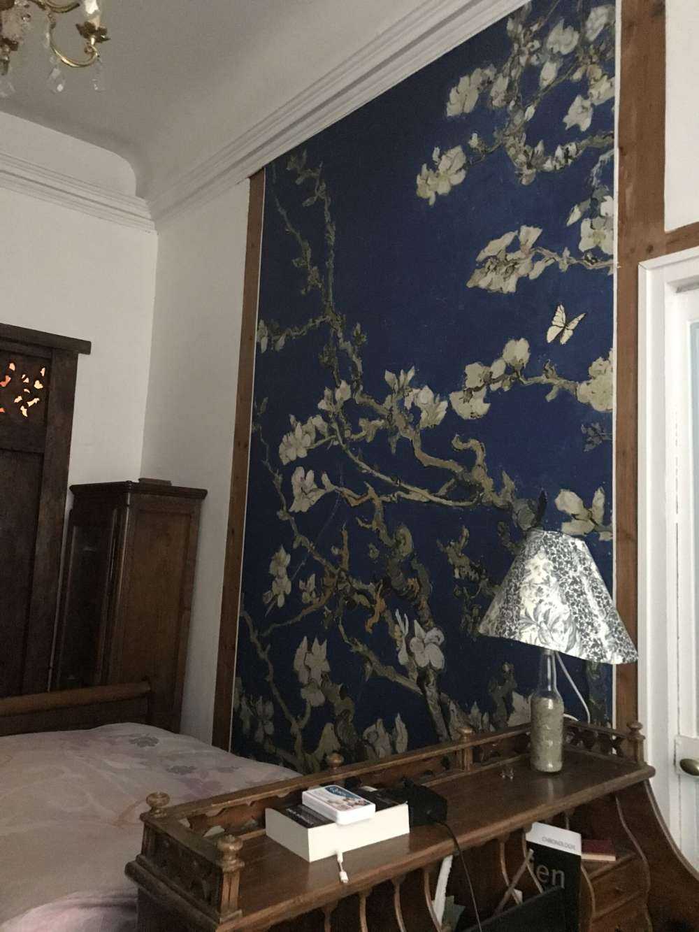 Mandorlo in fiore nella notte