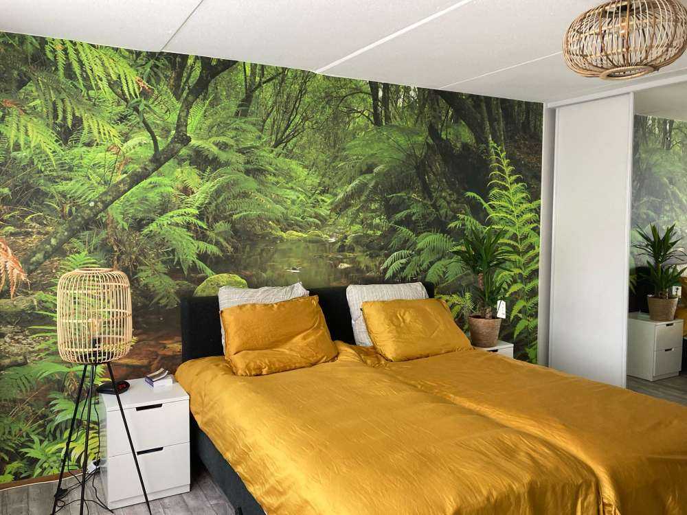 Fiume nella foresta pluviale