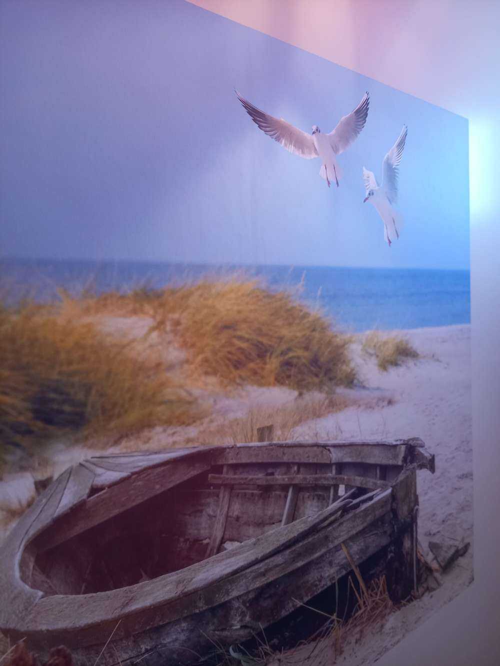 Vecchia barca da pesca, gabbiani, spiaggia e mare