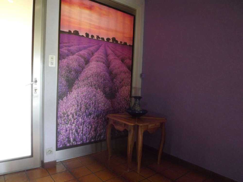 Campo di lavanda