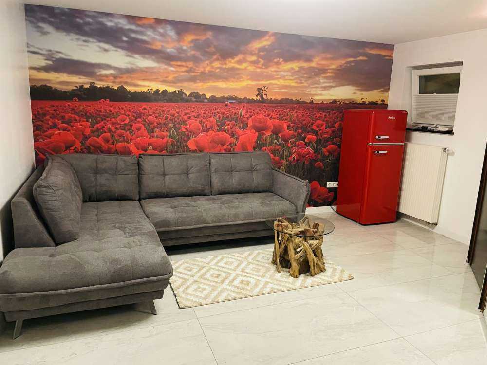 Campo di papaveri con un bel cielo