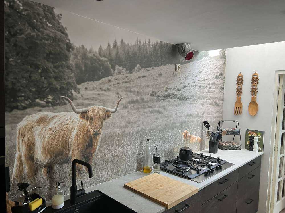 Highlander scozzese con vitello