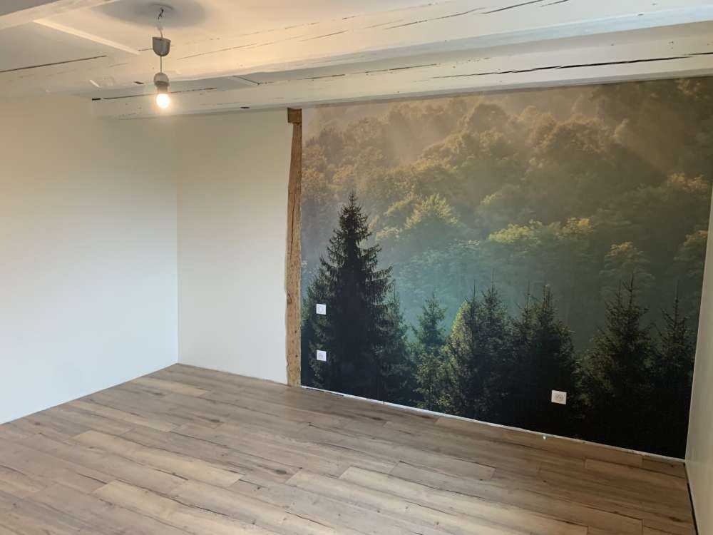 Raggi di sole sulla foresta