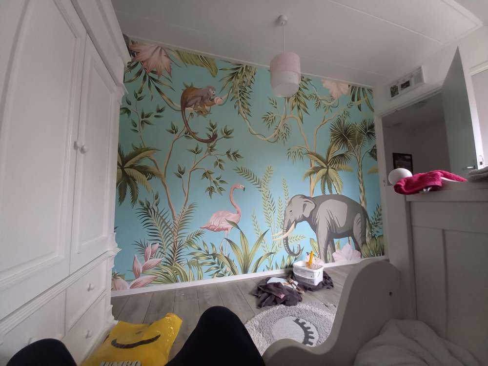 Elefante, fenicottero e amici