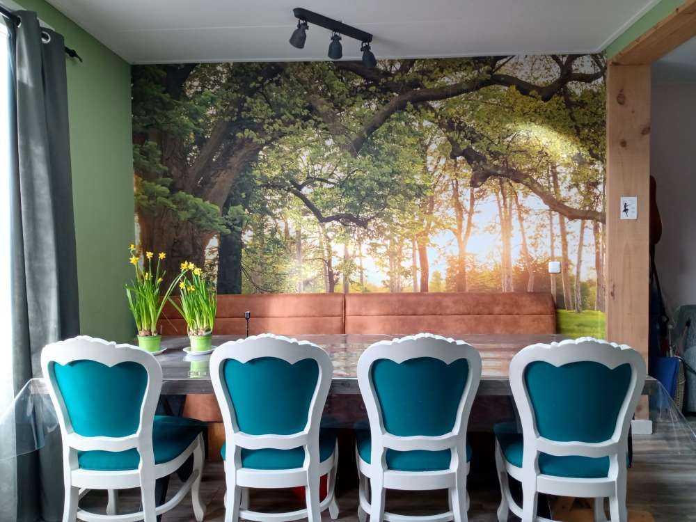 Spazio aperto nella foresta