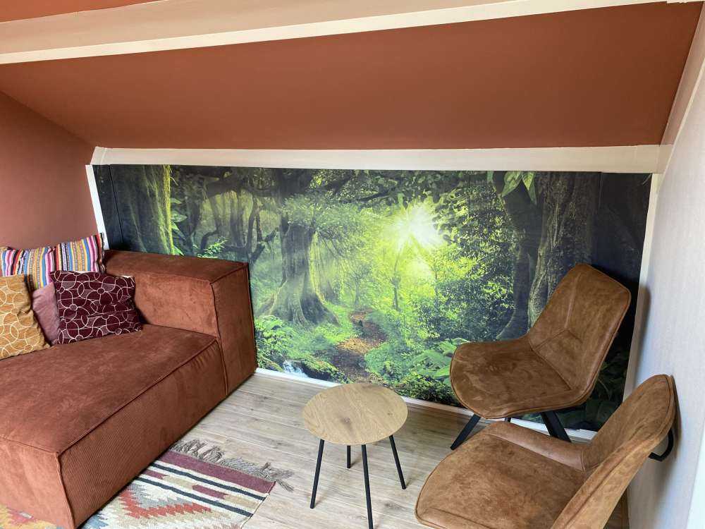 Giungla tropicale con luce solare