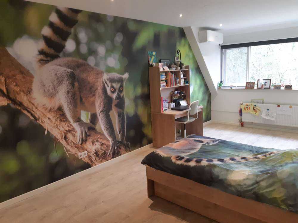 Scimmia dalla coda ad anelli su un albero