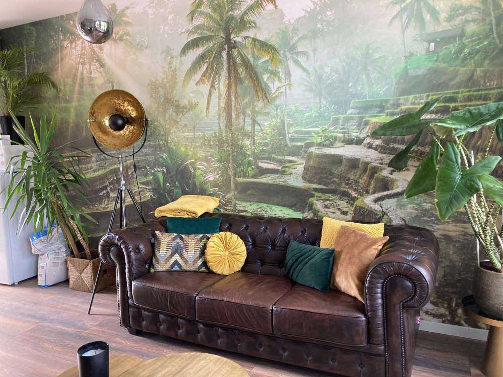 Campi di riso nella giungla