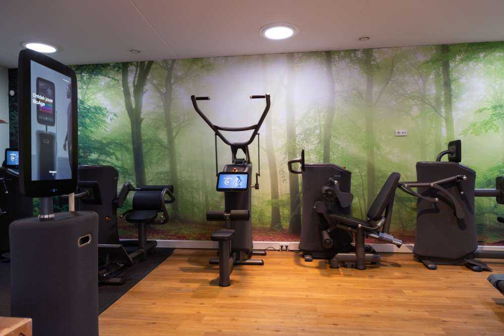 Panorama verde della foresta