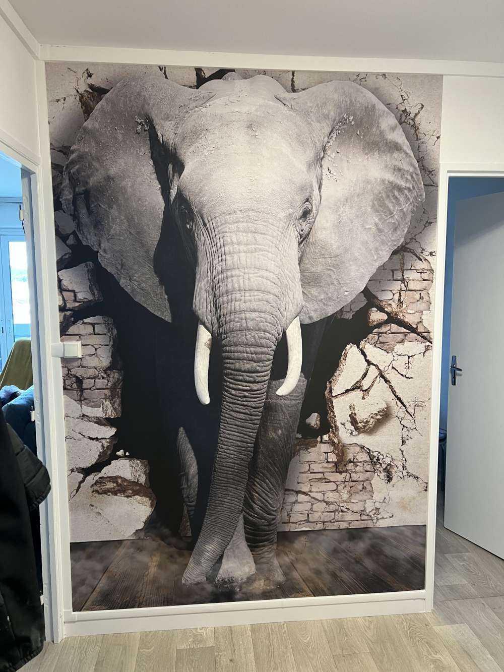 Elefante 3D dal muro