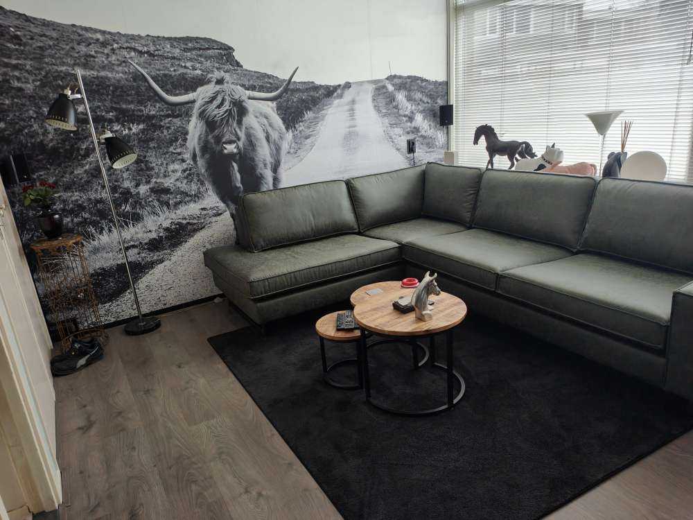 Highlander scozzese su una strada