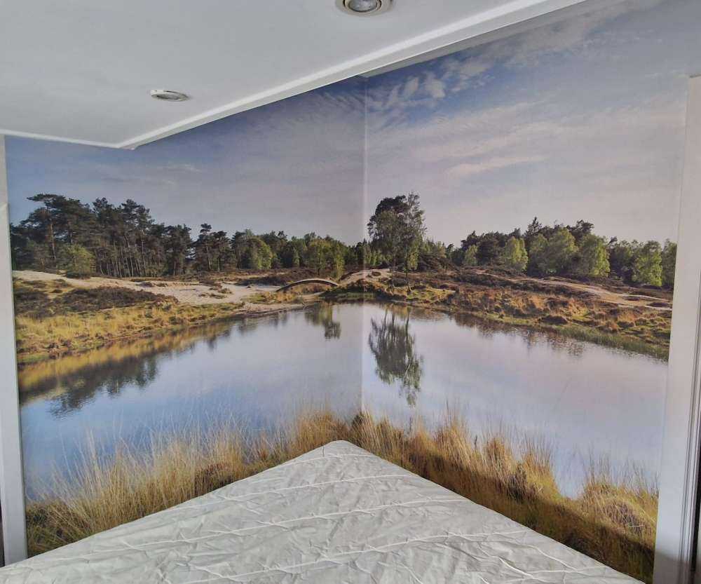 Un piccolo lago forestale nella zona brughiera 