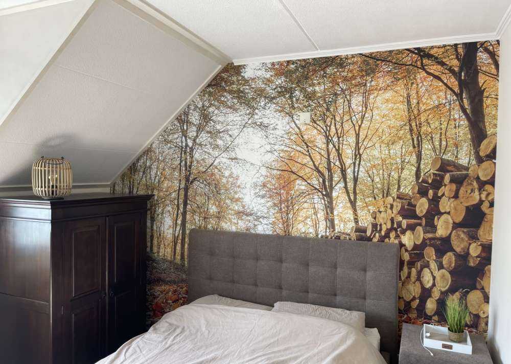 Tronchi d'albero in una foresta autunnale