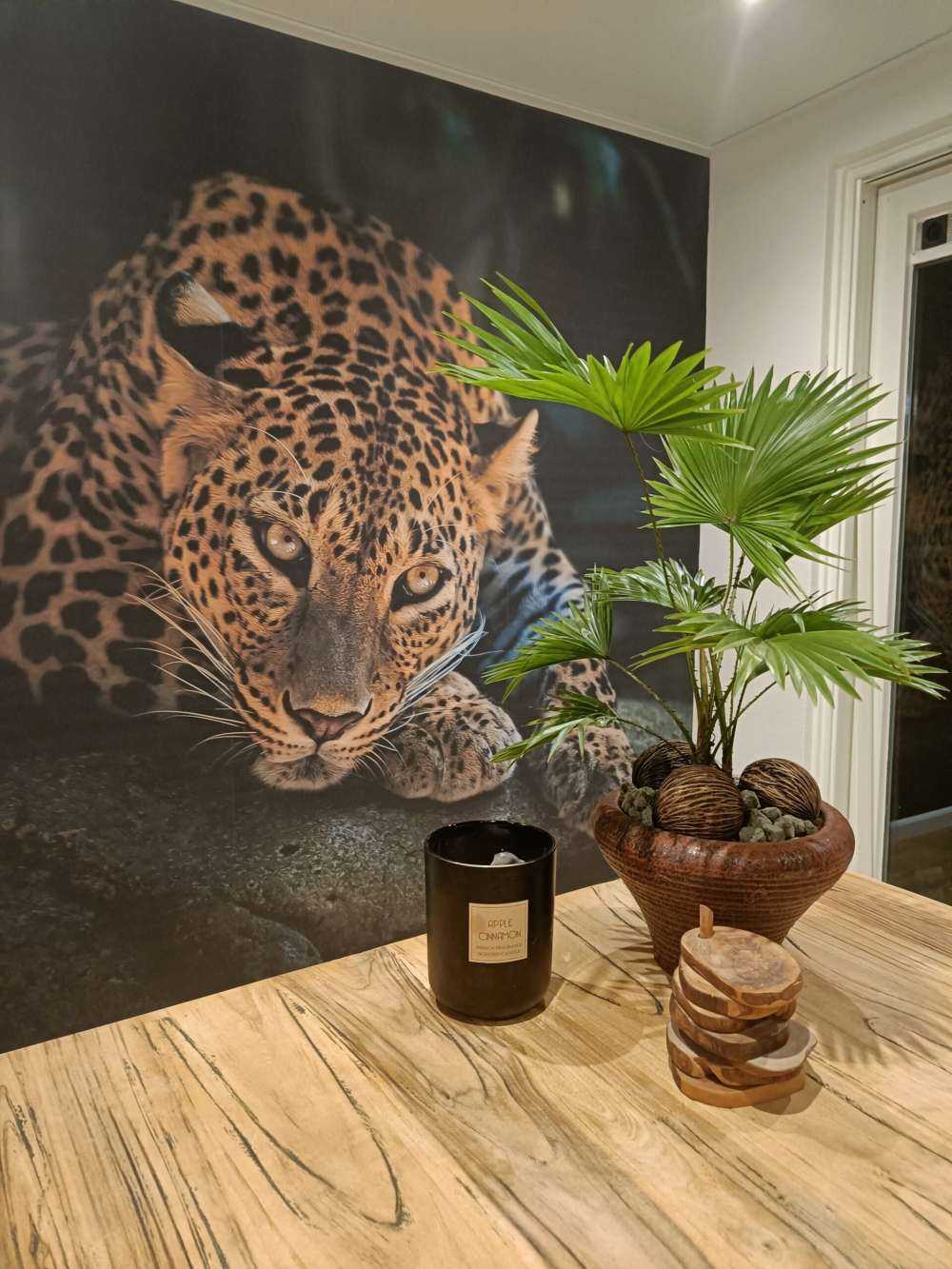 Pantera nella foresta