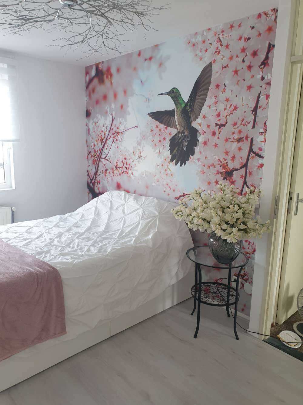 Colibrì tra i fiori