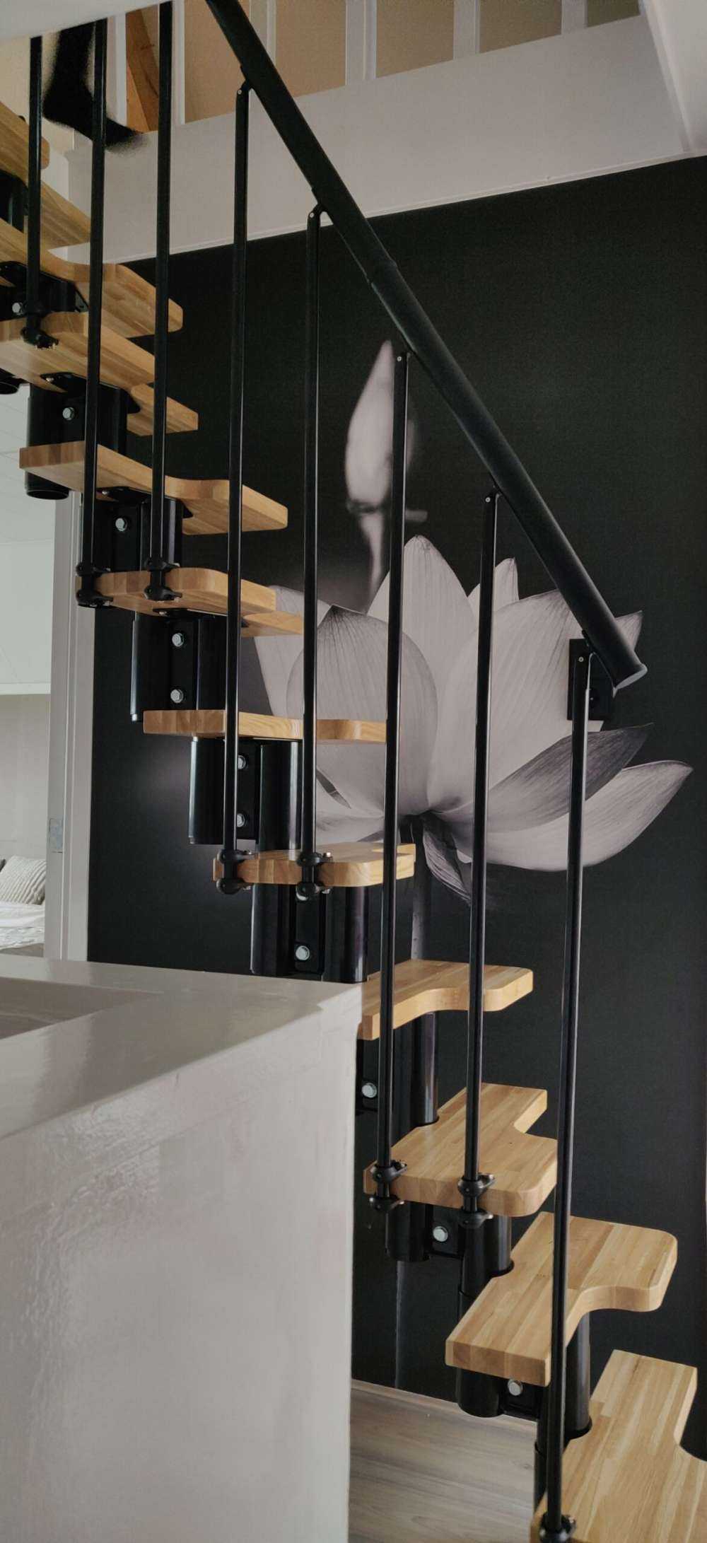 Fiori di loto bianco e nero