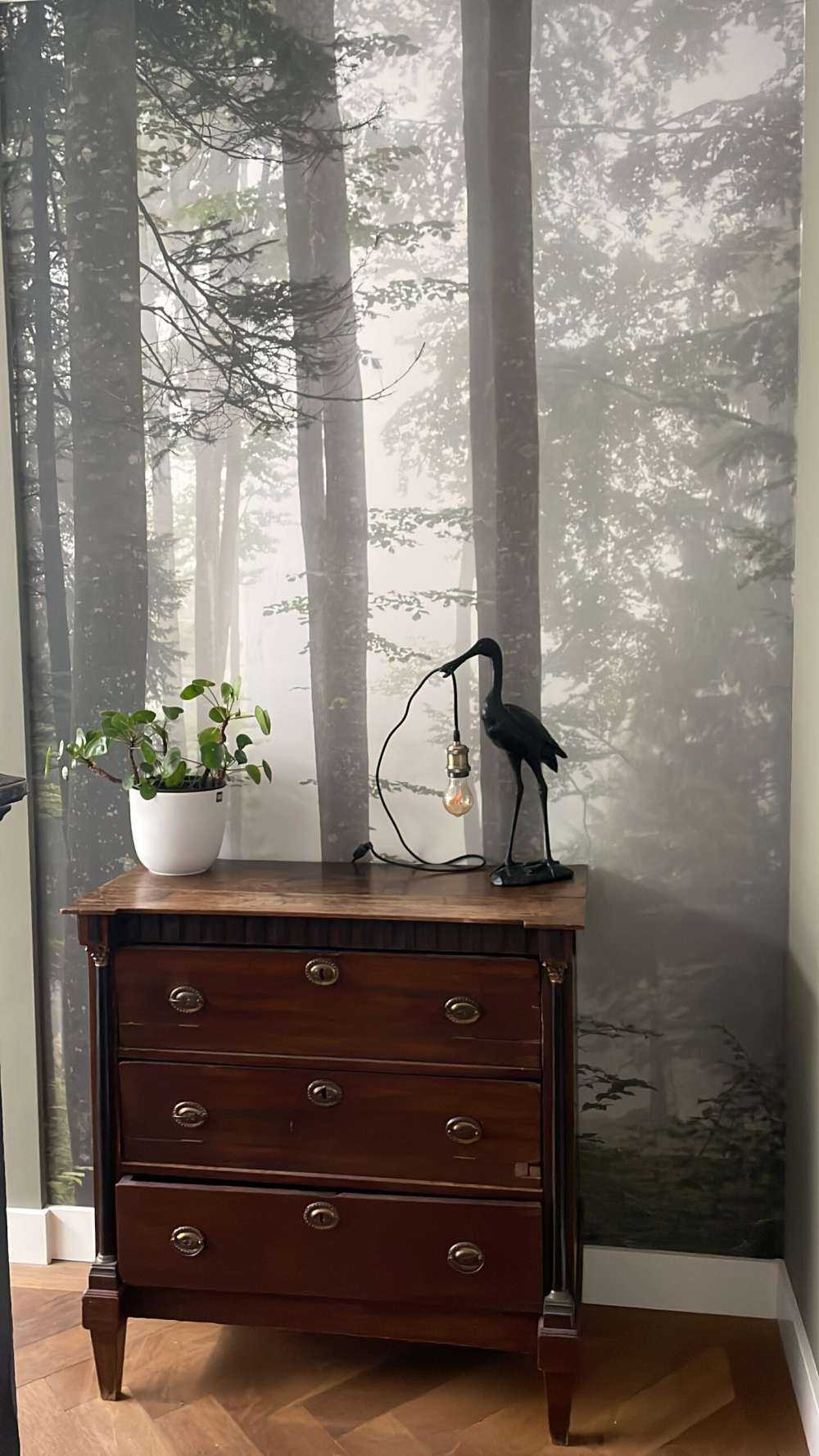 Bellissimo paesaggio nebbioso