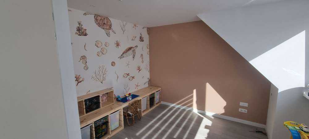 Conchiglie e creature marine