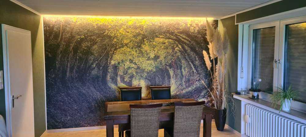 Tunnel dell'albero Halnaker