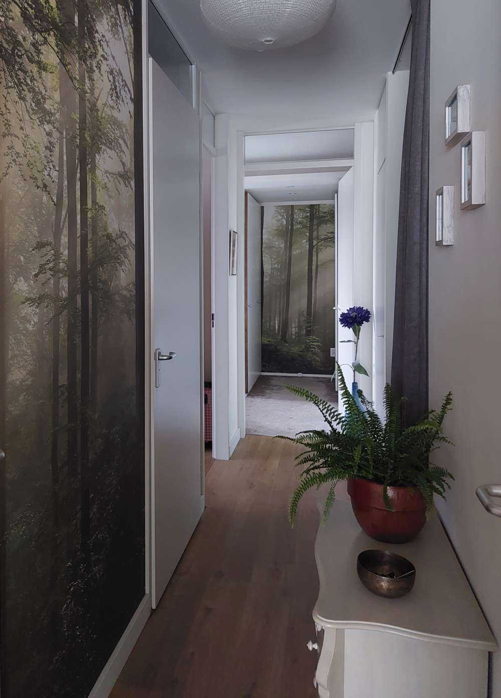 Foresta verde nella nebbia