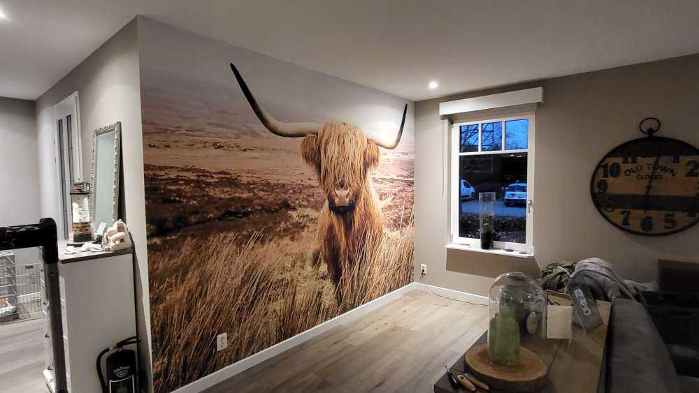 Highlander scozzese con canna