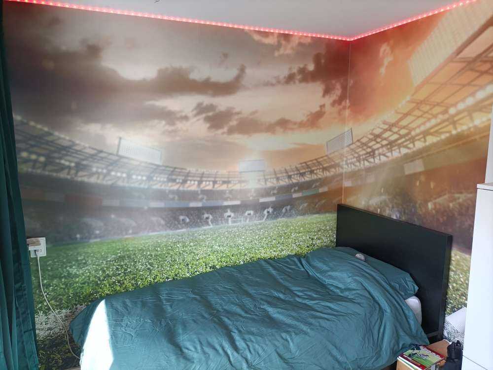 Stadio con erba artificiale