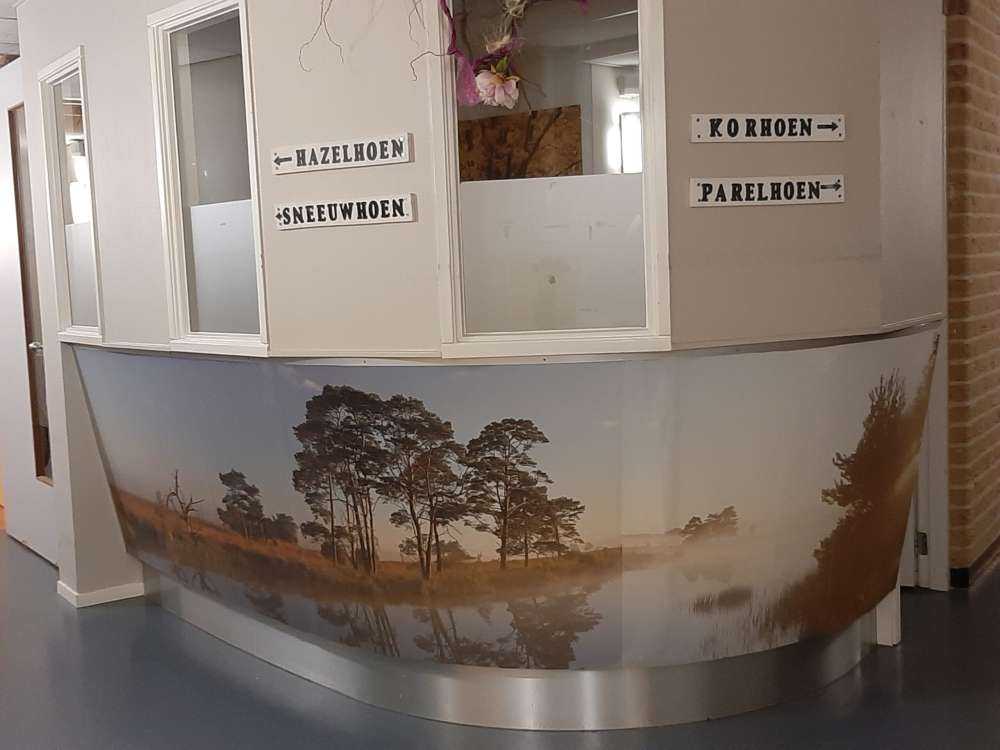 Riflessione nella brughiera