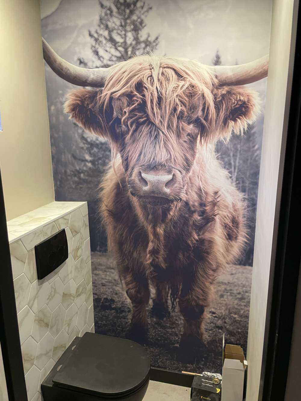 Highlander scozzese vicino alla foresta