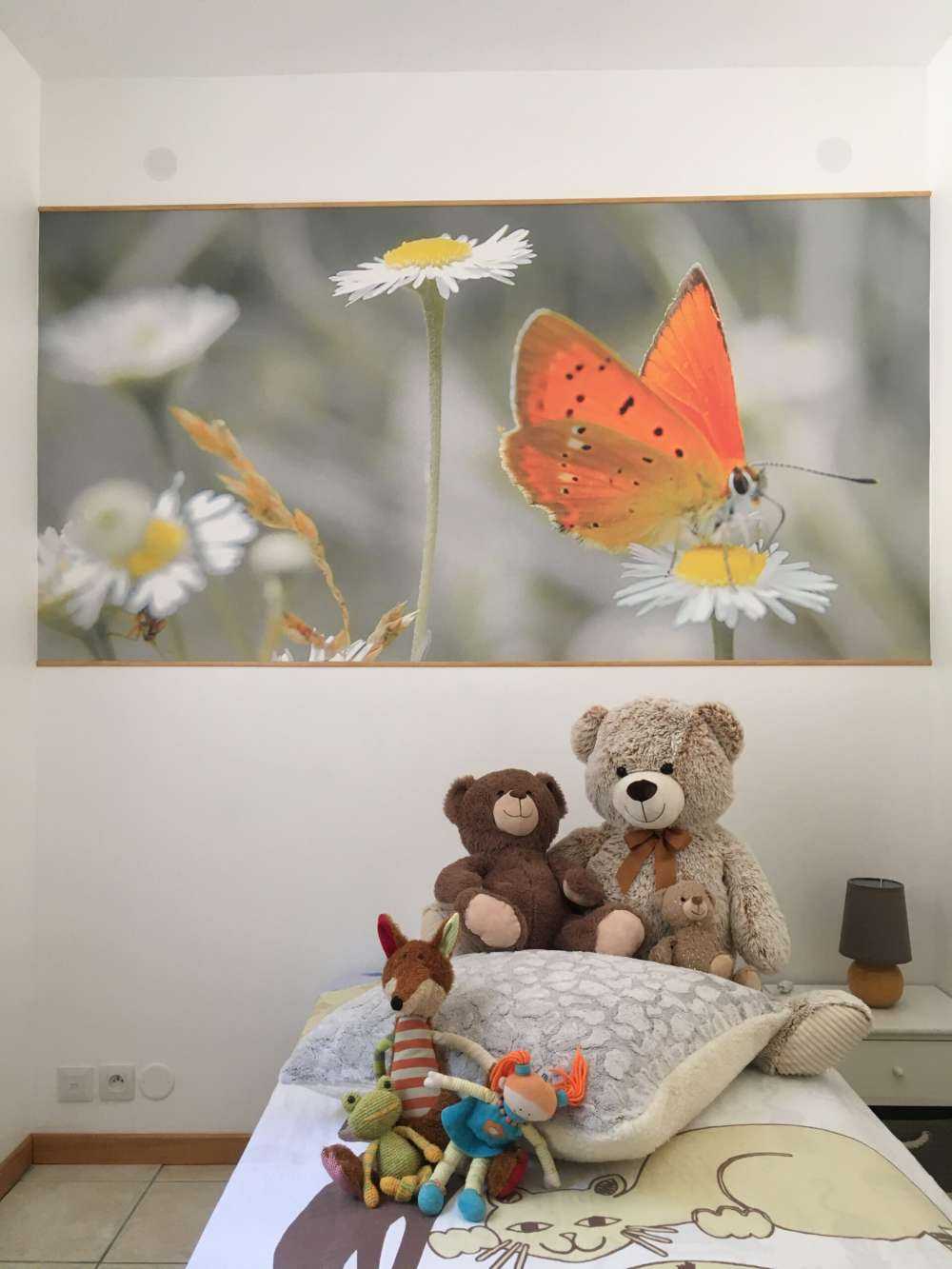 Margherite e farfalla arancione