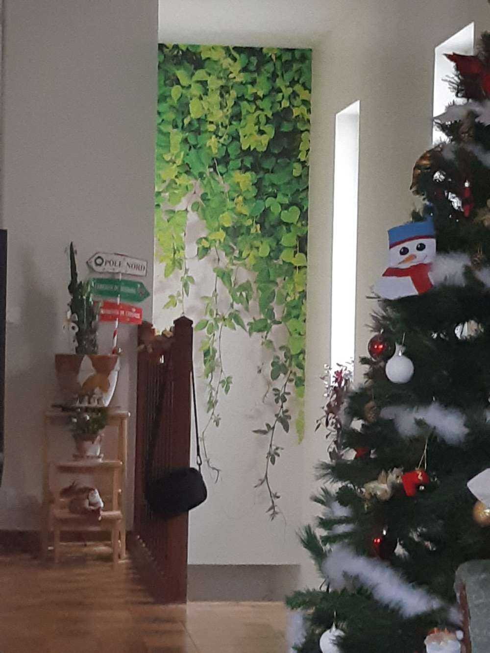 Ramas verdes colgantes