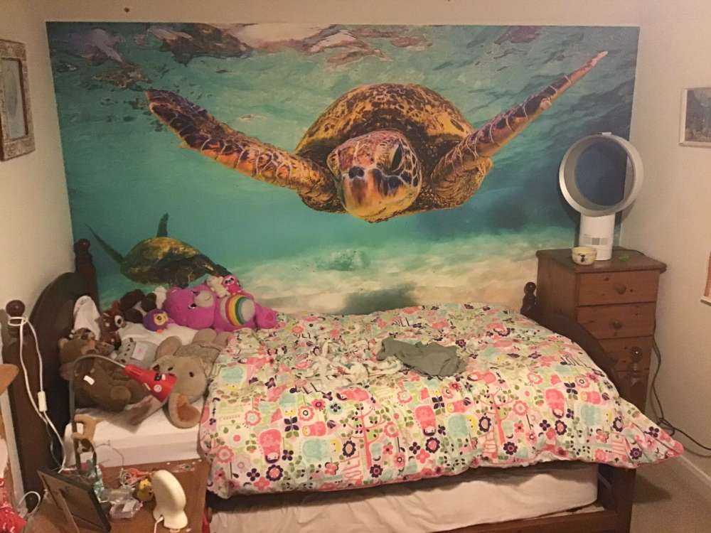 Tartaruga marina nell'oceano