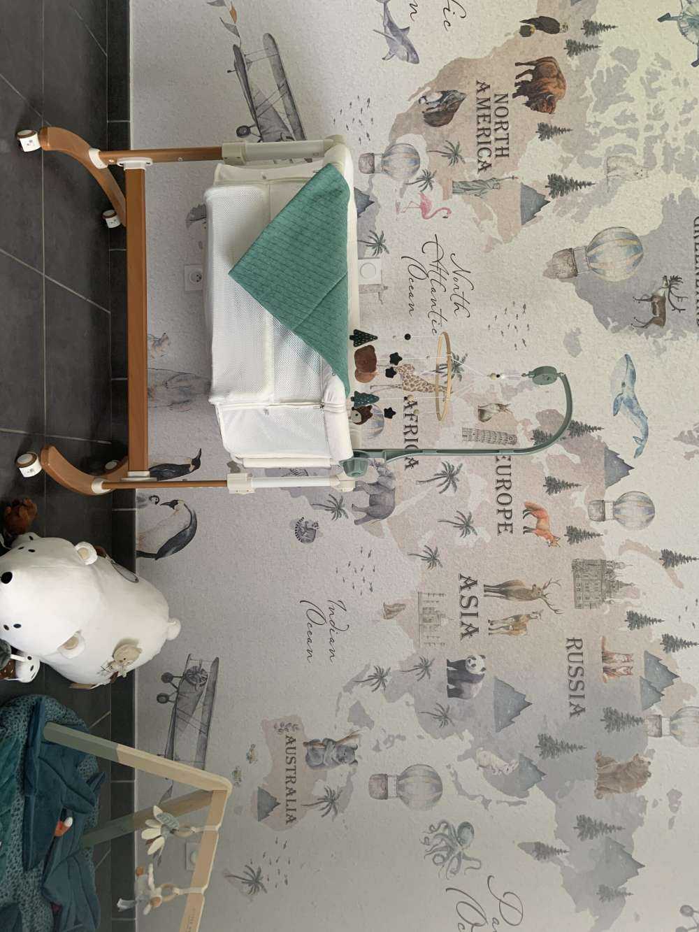 Mappa del mondo con diversi animali