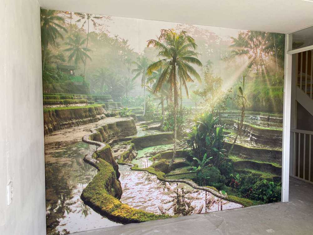 Campi di riso nella giungla