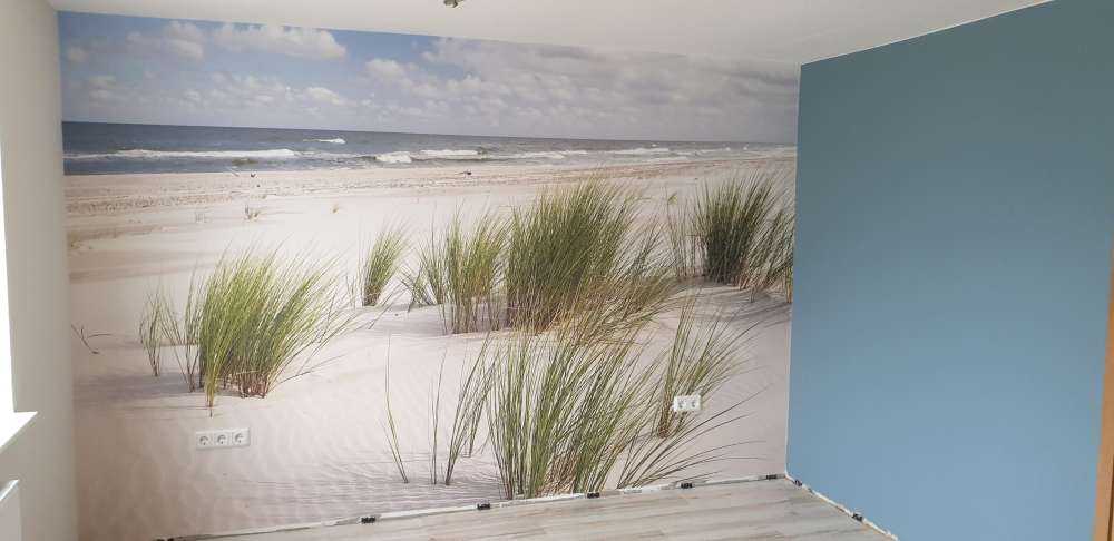 Spiaggia con piante di duna