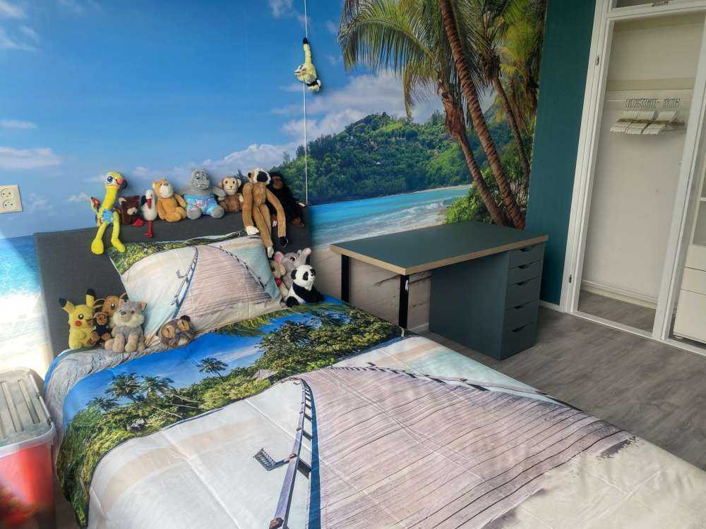 Bella spiaggia con palme